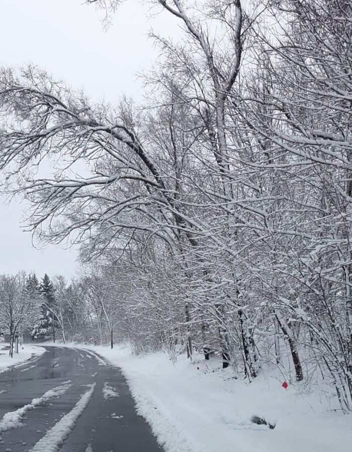 Another Side Of The Road In Kitchener