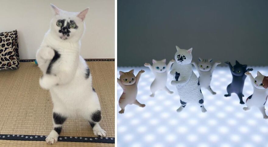 Artist Creatively Turns Animal Memes Into Figurines, And They All Look Hilarious