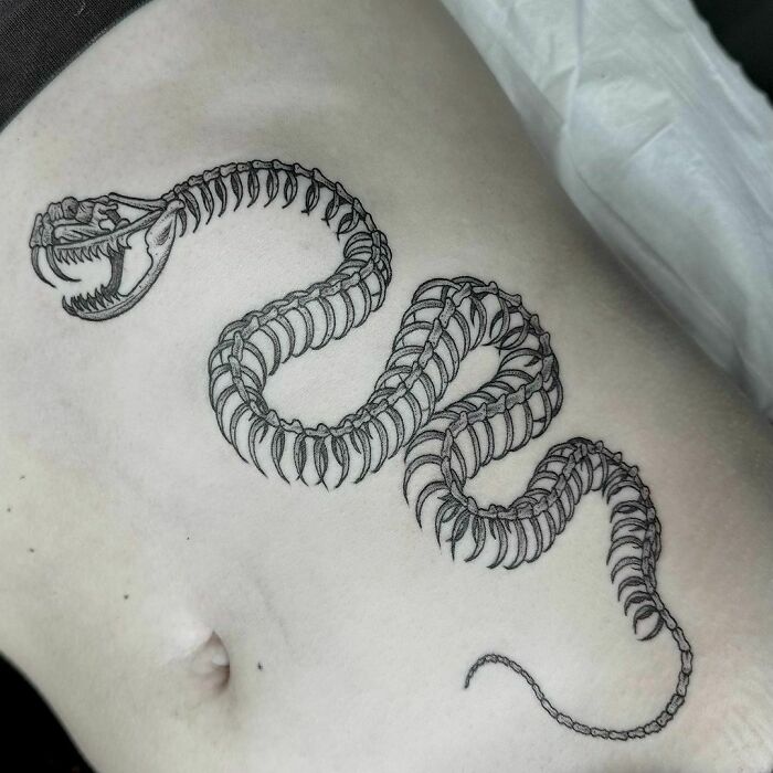 15 Snake Skeleton Tattoo Designs & Ideas | PetPress | Skeleton tattoos,  Hand tattoos, Tattoos