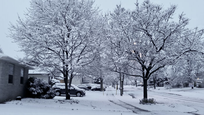 A Street In Waterloo Covered In Snow