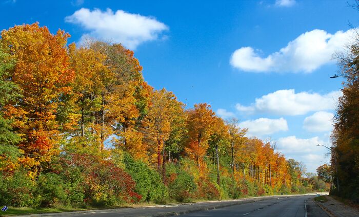 From A Highway, In Waterloo