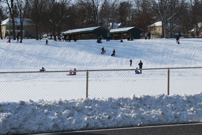 Children Enjoying Tobogganing In Cambridge