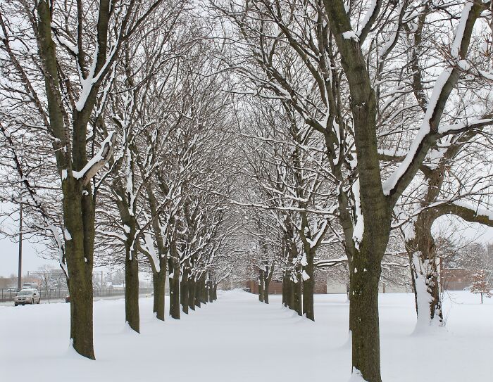 Side Of A Street In Kitchener, Ontario