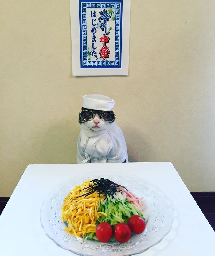 Cosplaying Cat Chef Dines With His Mom Every Night In Different Outfit (30 Pics)