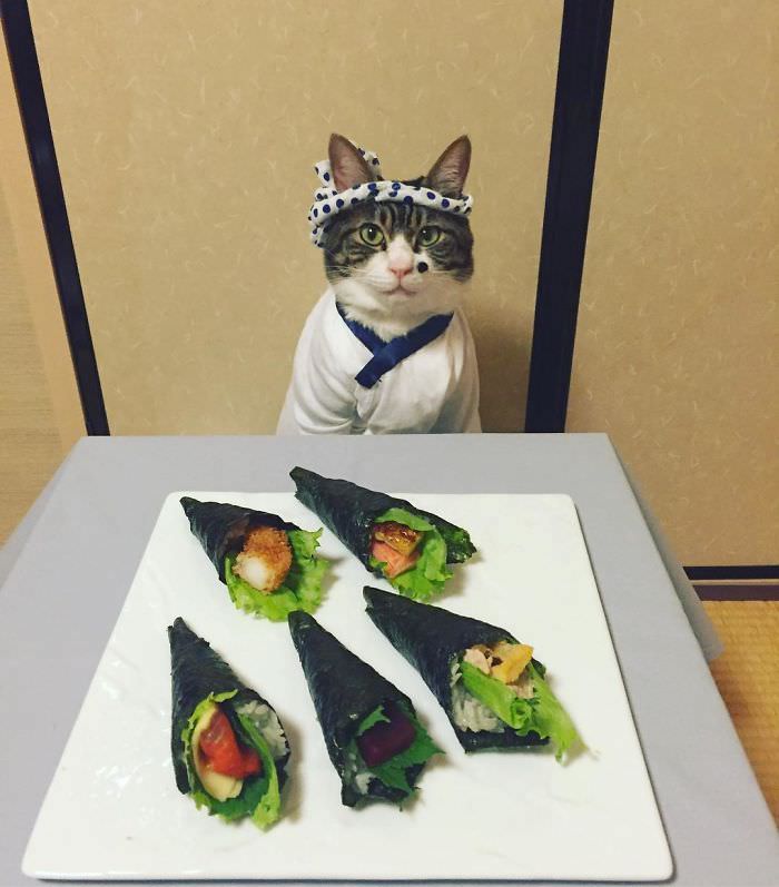 Cosplaying Cat Chef Dines With His Mom Every Night In Different Outfit (30 Pics)