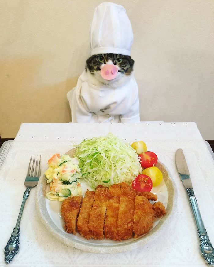 Cosplaying Cat Chef Dines With His Mom Every Night In Different Outfit (30 Pics)