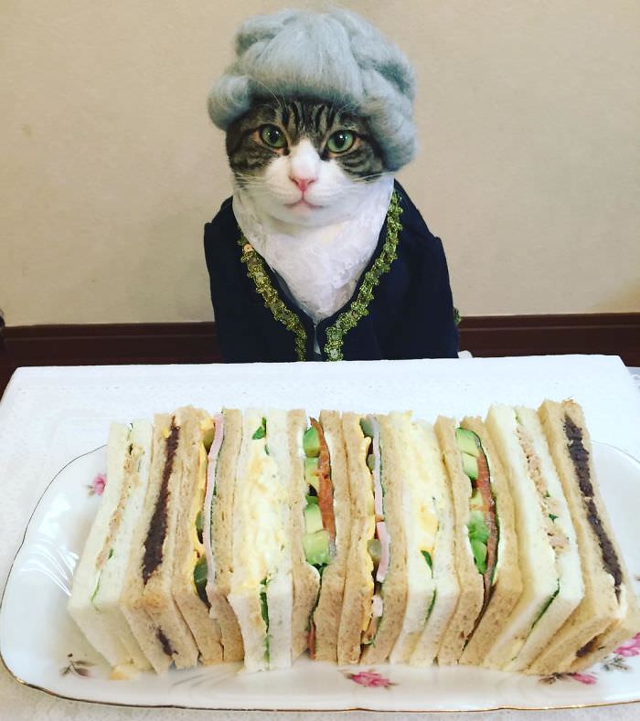 Cosplaying Cat Chef Dines With His Mom Every Night In Different Outfit (30 Pics)