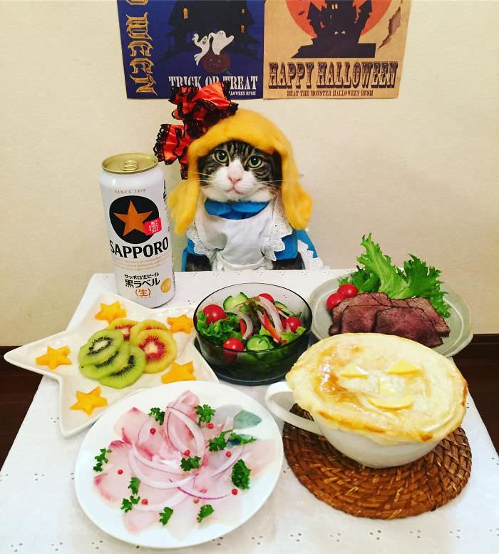 Cosplaying Cat Chef Dines With His Mom Every Night In Different Outfit (30 Pics)