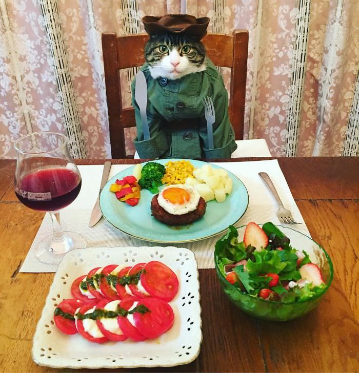 Cosplaying Cat Chef Dines With His Mom Every Night In Different Outfit (30 Pics)