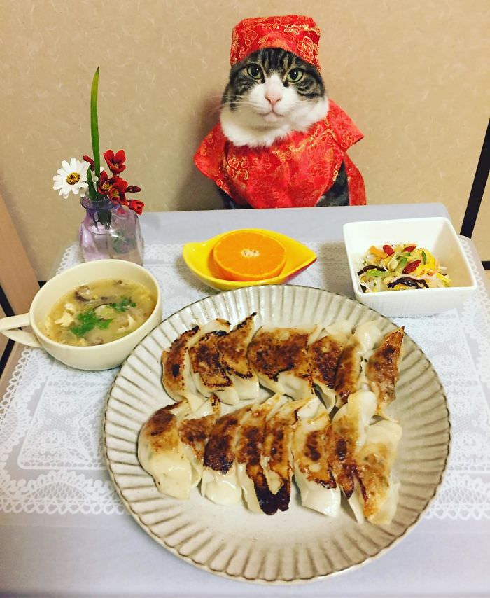 Cosplaying Cat Chef Dines With His Mom Every Night In Different Outfit (30 Pics)