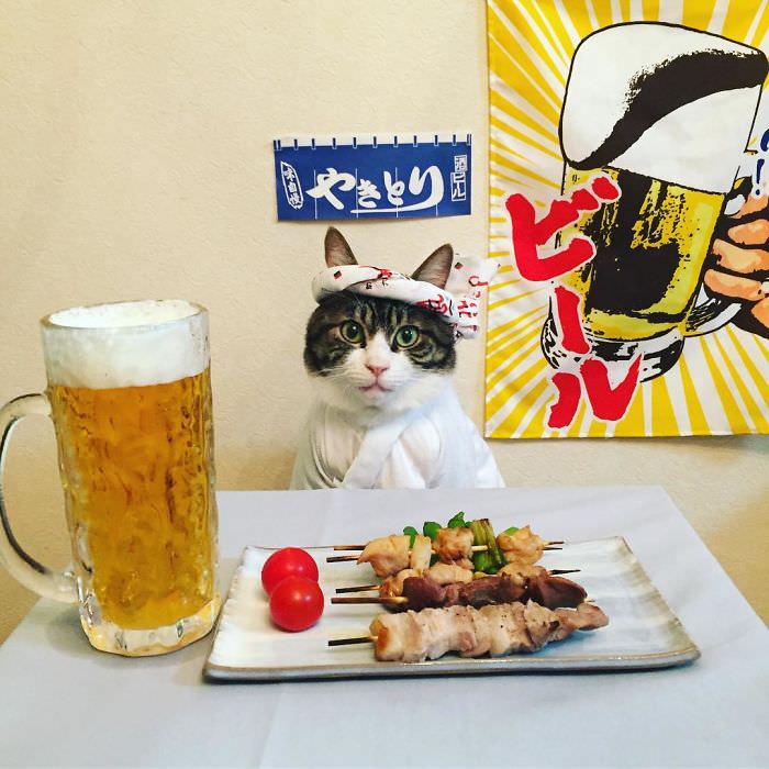 Cosplaying Cat Chef Dines With His Mom Every Night In Different Outfit (30 Pics)