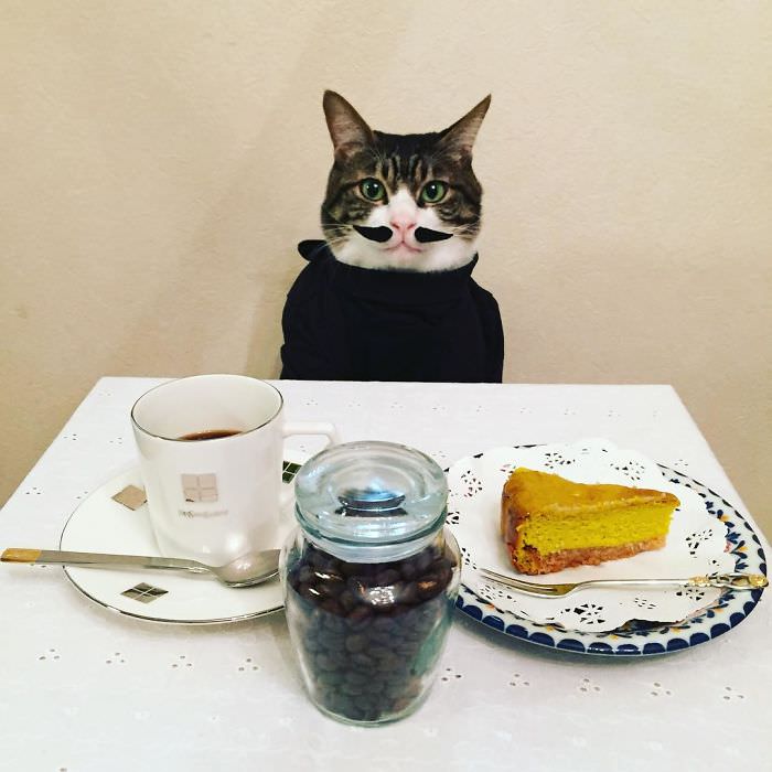 Cosplaying Cat Chef Dines With His Mom Every Night In Different Outfit (30 Pics)