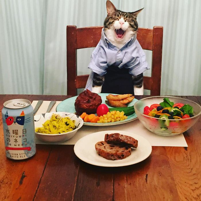 Cosplaying Cat Chef Dines With His Mom Every Night In Different Outfit (30 Pics)