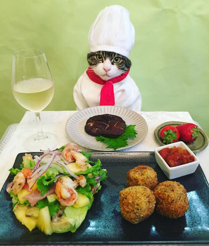 Cosplaying Cat Chef Dines With His Mom Every Night In Different Outfit (30 Pics)