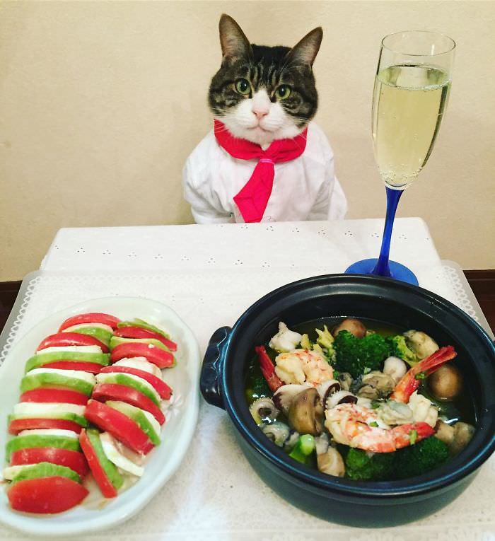 Cosplaying Cat Chef Dines With His Mom Every Night In Different Outfit (30 Pics)