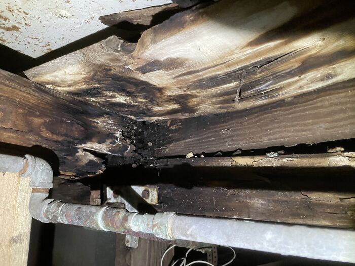 The Presence Of Wood Rot In This Area Of The Crawlspace Is A Cause For Concern. Can Anyone Guess What Room Is Above? Moisture From The Bathroom Can Seep Into The Underlying Structure, Creating An Environment Conducive To Wood Decay