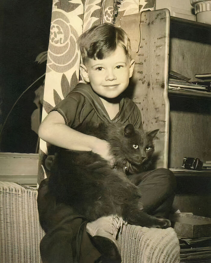 Journalist Rescues 20th-Century Photos Depicting Felines In Various Scenes (61 New Pics)