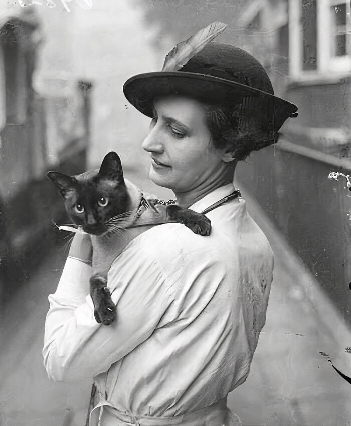 Journalist Rescues 20th-Century Photos Depicting Felines In Various Scenes (61 New Pics)