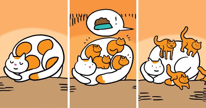 50 Feel-Good Wordless Cat Comics That Will Make Your Day By This Dutch Illustrator