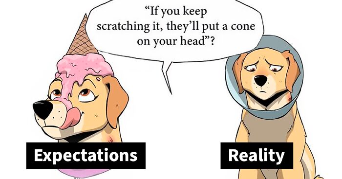 8 New Hilariously Adorable Comics About Brutus To Brighten Up Your Day