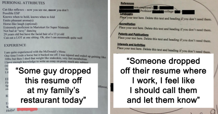 105 Stupid And Hilarious Things People Actually Put On Their Resumes