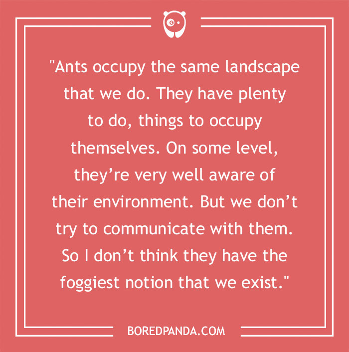 Carl Sagan Quote About Ants 