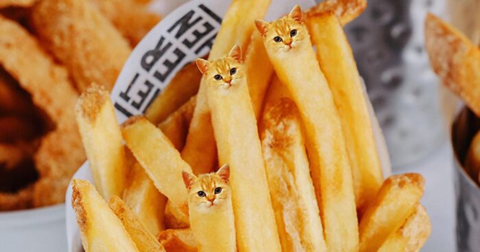 This Artist Uses Photoshop To Merge Images Of Cats And Food, And Here Are Her 80 New Works