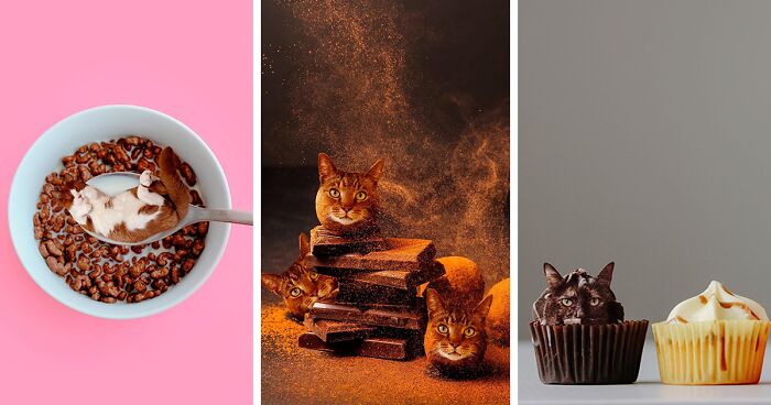 80 Weirdly Delicious Images Of Cats Photoshopped Into Food By This Artist (New Pics)