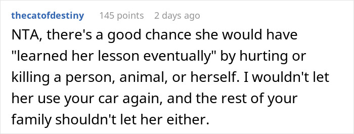 18 Y.O. Drives Her Family Nuts With Her Reckless Driving, So Her Brother Lets Her Hit A Lantern