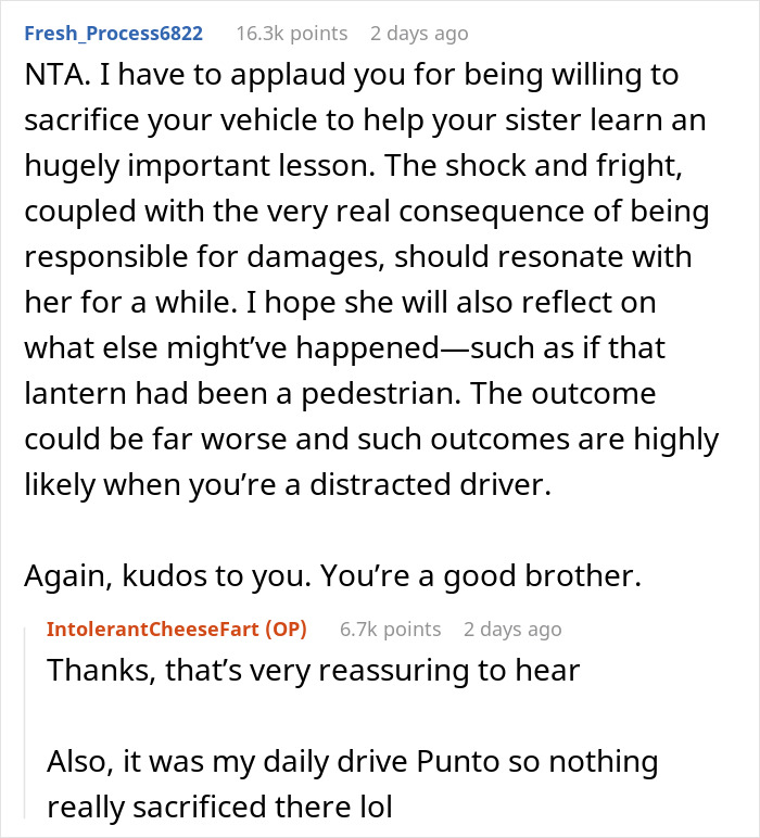 18 Y.O. Drives Her Family Nuts With Her Reckless Driving, So Her Brother Lets Her Hit A Lantern