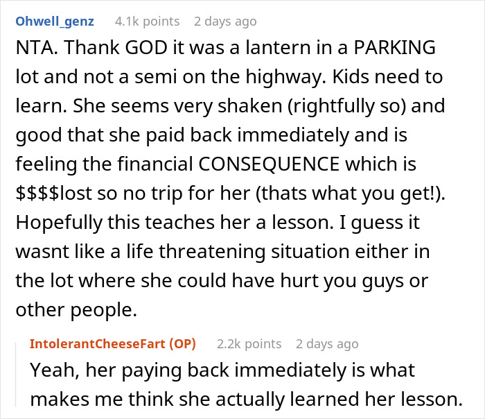 18 Y.O. Drives Her Family Nuts With Her Reckless Driving, So Her Brother Lets Her Hit A Lantern