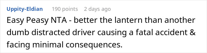 18 Y.O. Drives Her Family Nuts With Her Reckless Driving, So Her Brother Lets Her Hit A Lantern