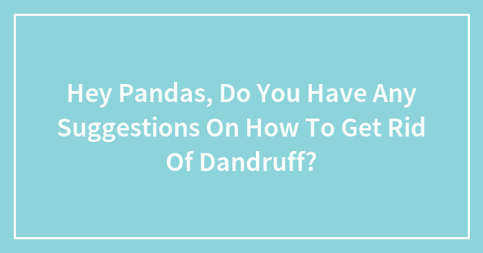 Hey Pandas, Do You Have Any Suggestions On How To Get Rid Of Dandruff? (Closed)