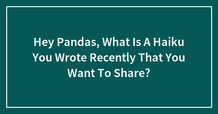 Hey Pandas, What Is A Haiku You Wrote Recently That You Want To Share? (Closed)