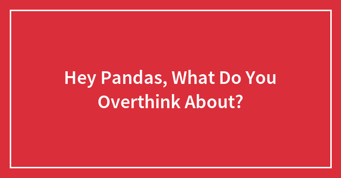 Hey Pandas, What Do You Overthink About? (Closed)