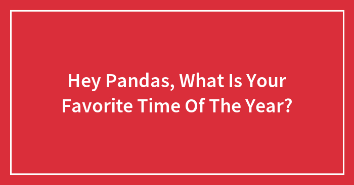 Hey Pandas, What Is Your Favorite Time Of The Year? (Closed)