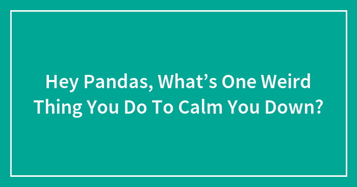 Hey Pandas, What’s One Weird Thing You Do To Calm You Down? (Closed)