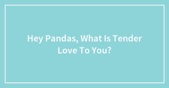 Hey Pandas, What Is Tender Love To You? (Closed)