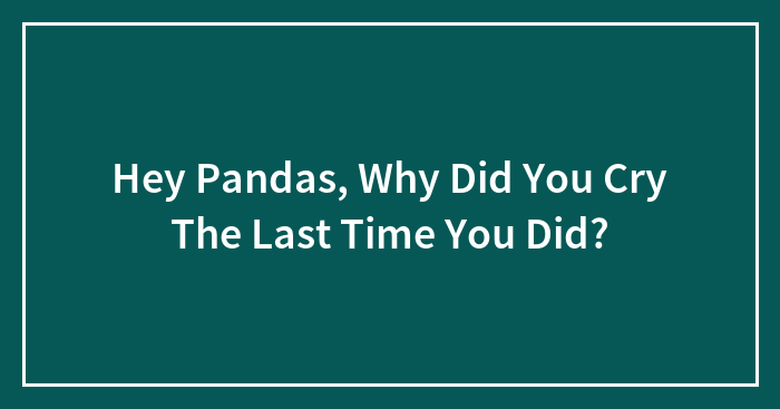 Hey Pandas, Why Did You Cry The Last Time You Did? (Closed)