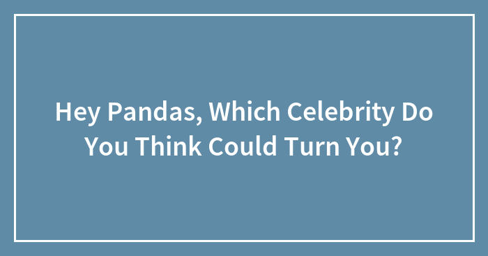 Hey Pandas, Which Celebrity Do You Think Could Turn You? (Closed)