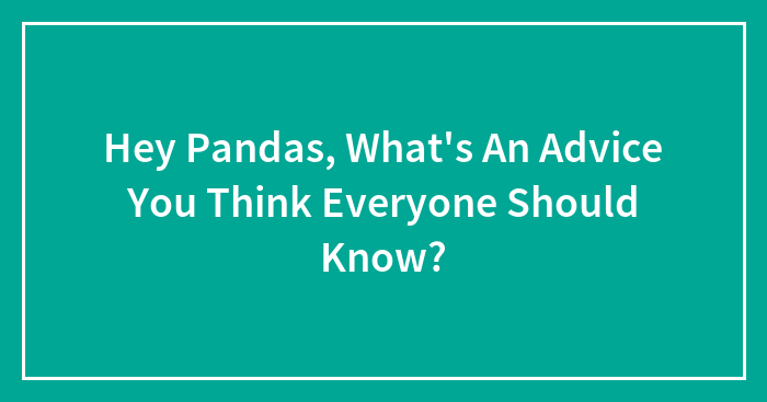 Hey Pandas, What’s An Advice You Think Everyone Should Know? (Closed)