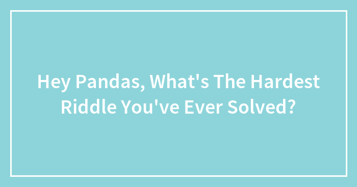 Hey Pandas, What’s The Hardest Riddle You’ve Ever Solved? (Closed)