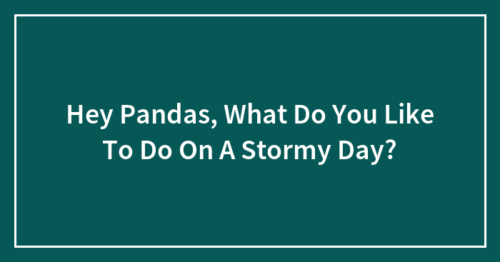 Hey Pandas, What Do You Like To Do On A Stormy Day? (Closed)