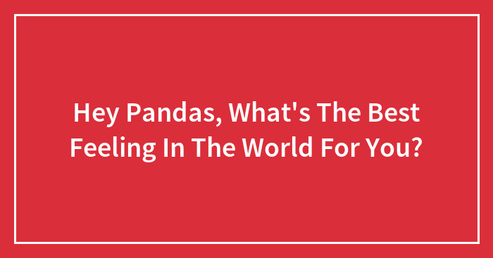 Hey Pandas, What’s The Best Feeling In The World For You? (Closed)