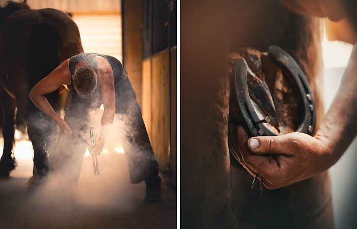 Light On The Job Of A Farrier (13 Pics)