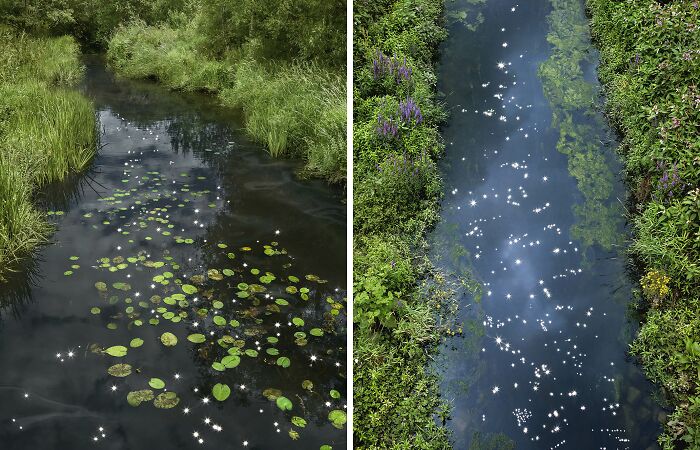 I Combined Light And Water To Create These Images About Rare Chalk Streams (12 Pics)