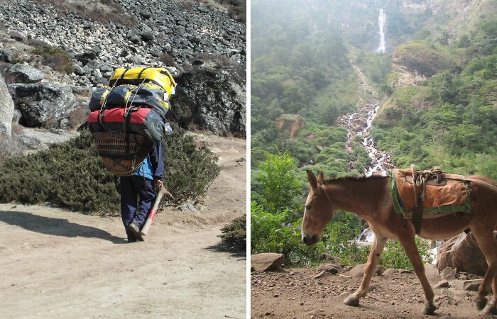 Spending 12 Days Trekking To Everest Base Camp With The Joyful Presence Of A Four-Legged Friend (8 Pics)