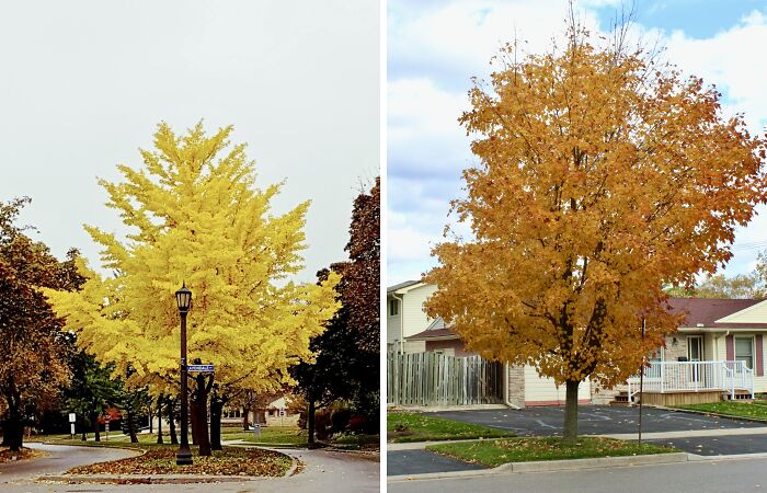 Pictures Of Fall Taken All Around The Waterloo Area (25 Pics)