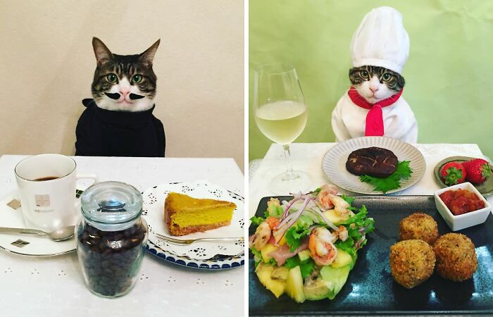 Cosplaying Cat Chef Dines With His Mom Every Night In Different Outfit (30 Pics)