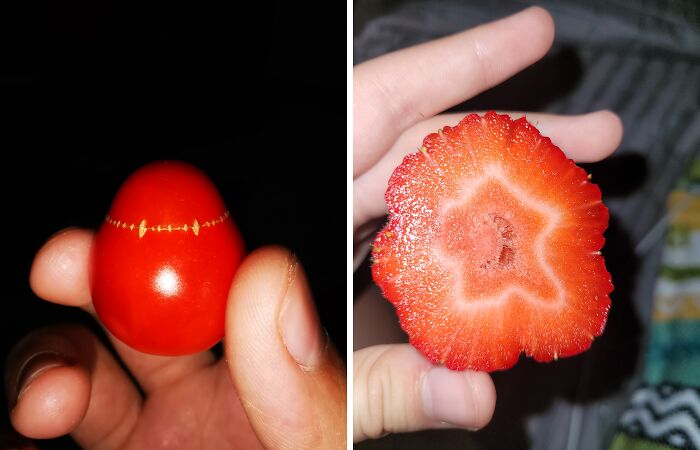 Hey Pandas, Show Us The Weirdest Fruit Or Vegetable You’ve Ever Seen (Closed)